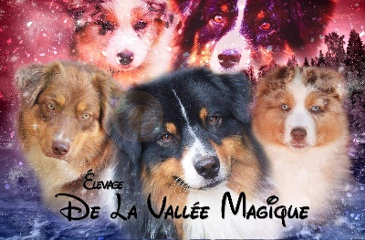 De La Vallée Magique
